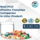 Best PCD Pharma Franchise Companies in Uttar Pradesh