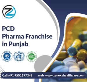 PCD Pharma Franchise in Punjab