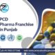 PCD Pharma Franchise in Punjab